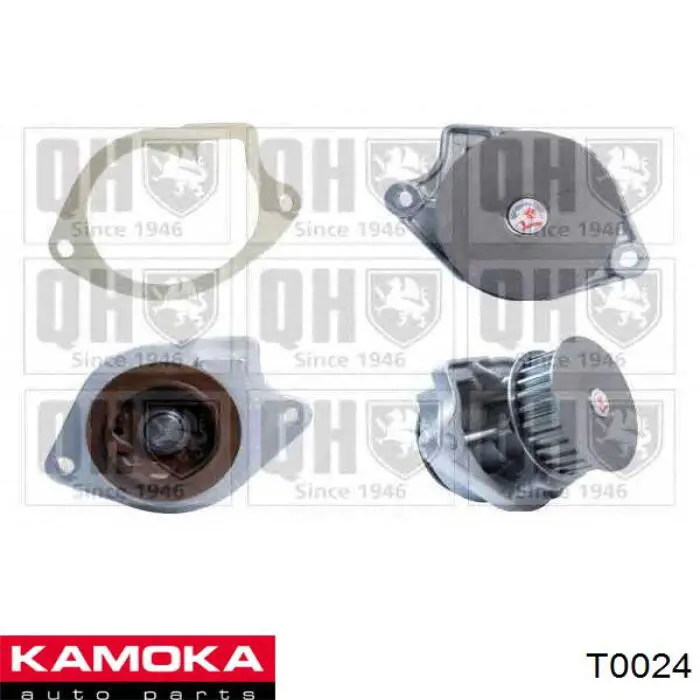 T0024 Kamoka