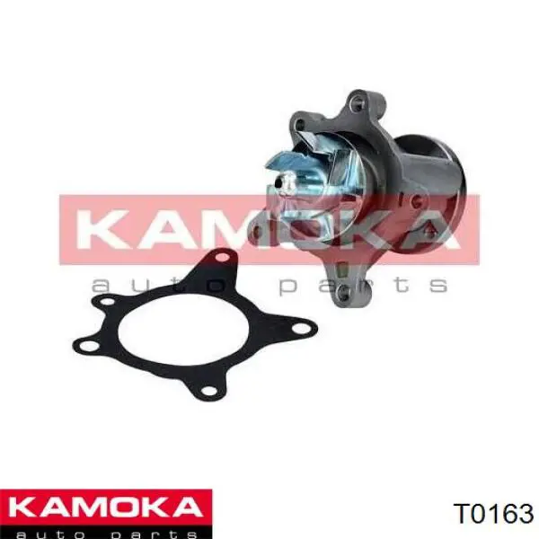 Помпа T0163 Kamoka