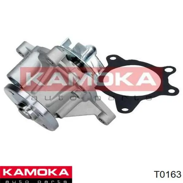 T0163 Kamoka