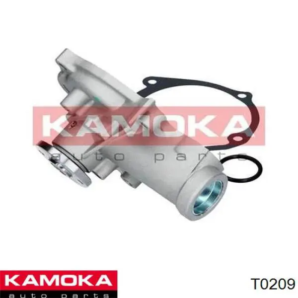 T0209 Kamoka