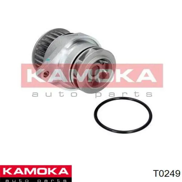 Bomba de agua, completo con caja T0249 Kamoka