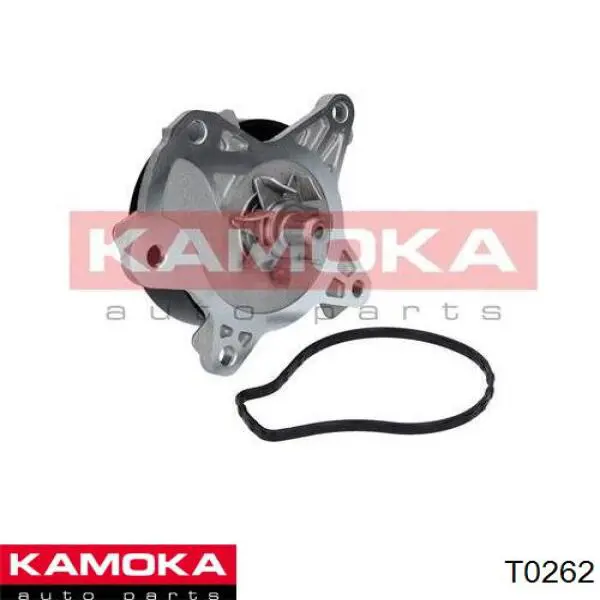 Помпа T0262 Kamoka