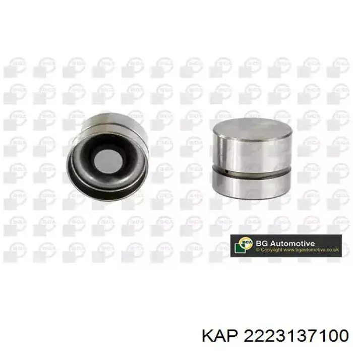 Купить 2223137100 KAP Толкатель клапанов двигателя