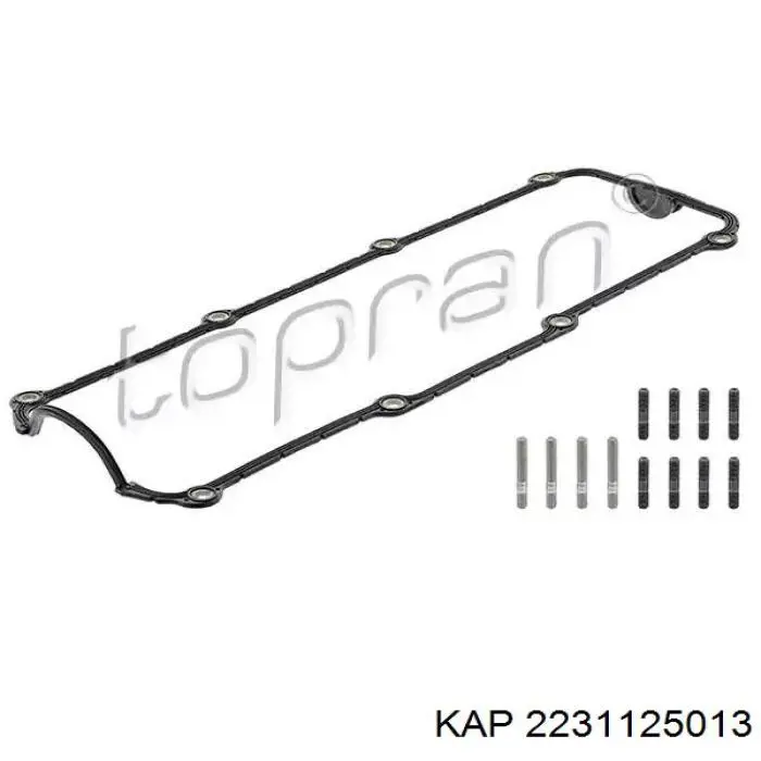 Прокладка ГБЦ KAP 2231125013 цена, от 14.87 USD