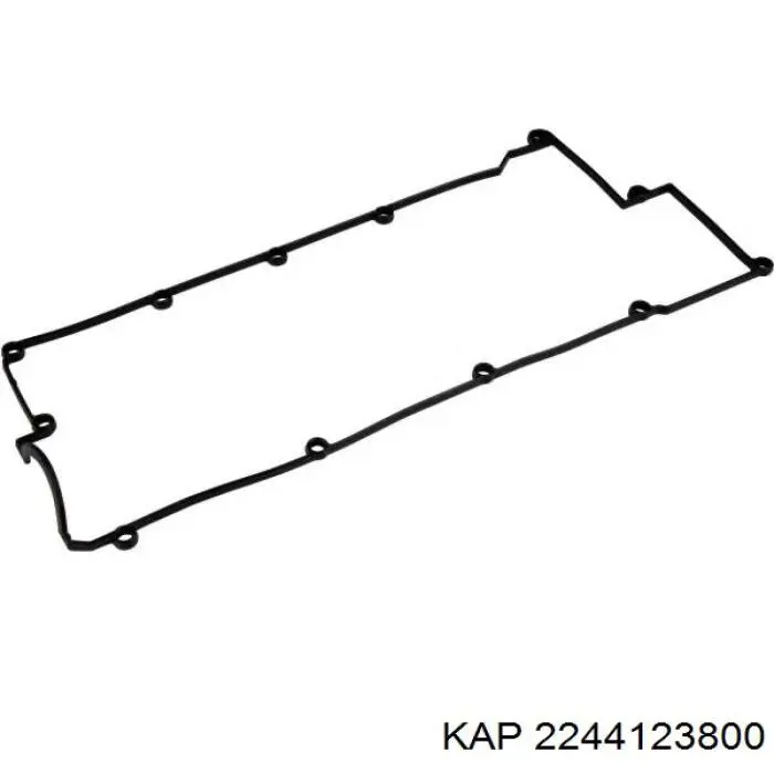 Прокладка клапанной крышки 2244123800 KAP