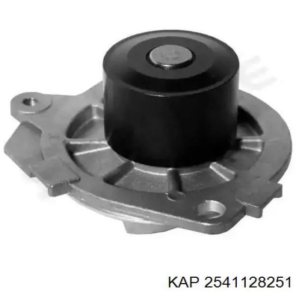 Патрубок радиатора 2541128251 KAP