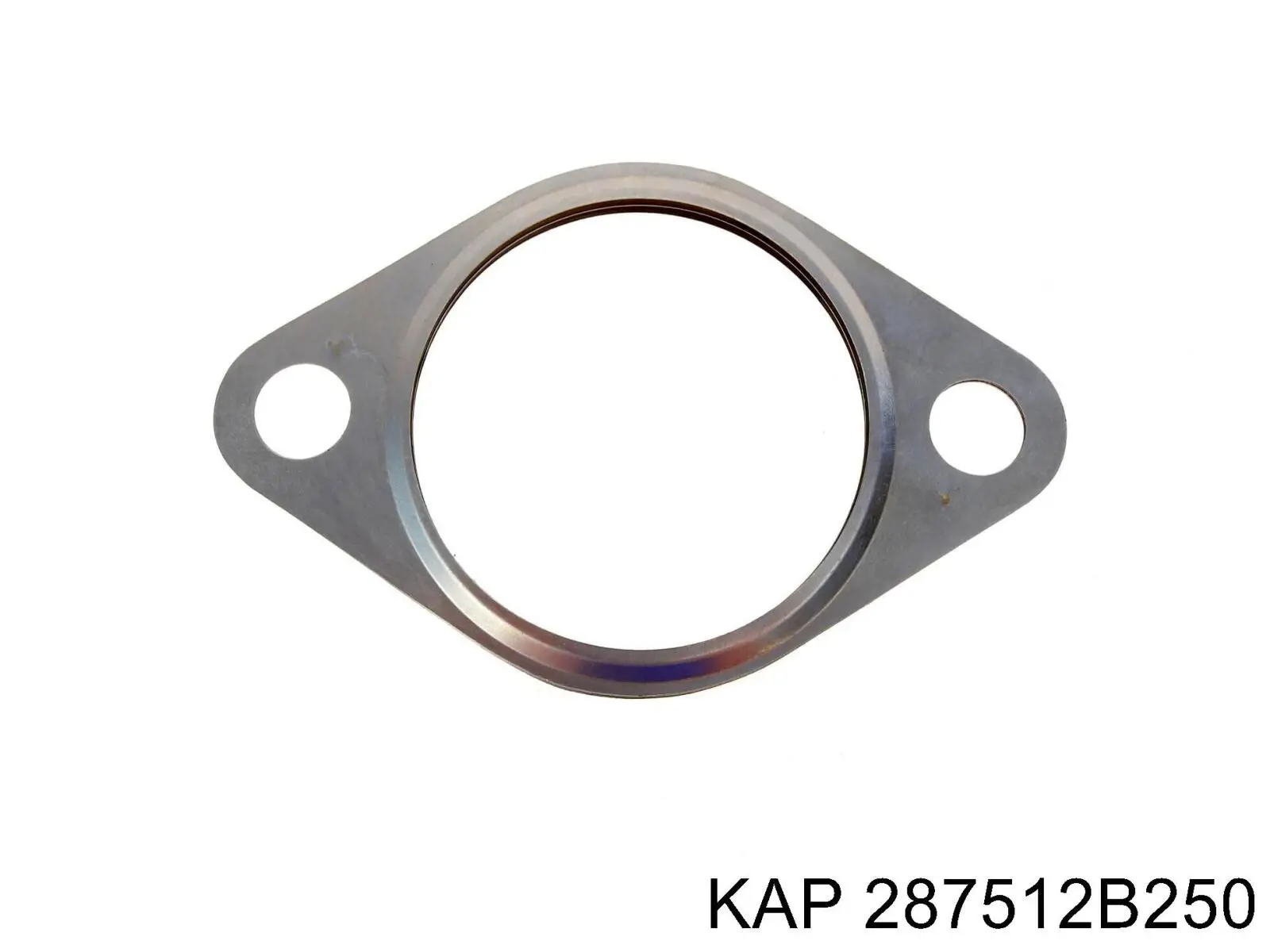 287512B250 KAP Прокладка штанов