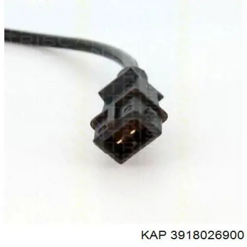 3918026900 KAP ДПКВ