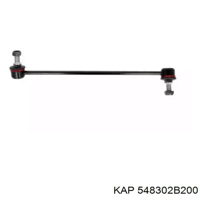 548302B200 KAP