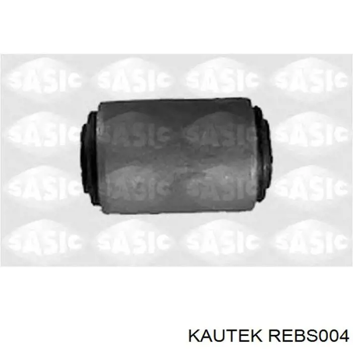 REBS004 Kautek