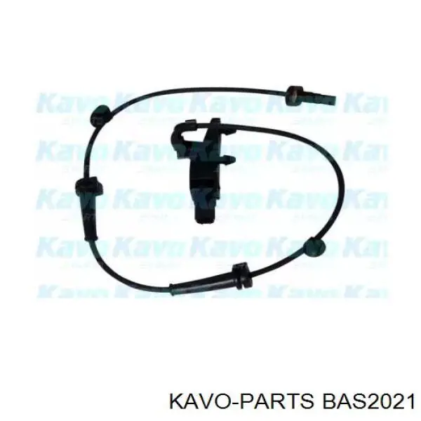 Датчик АБС (ABS) передний правый Kavo Parts BAS2021