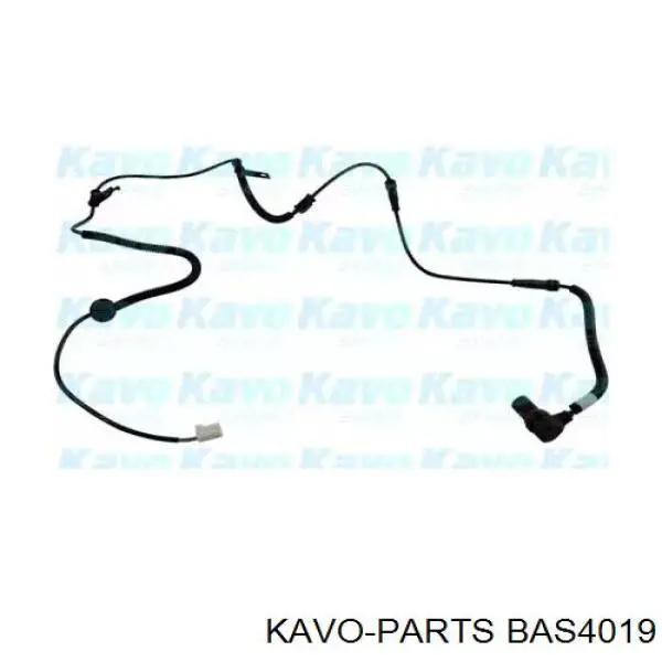 BAS4019 Kavo Parts датчик абс (abs задний левый)