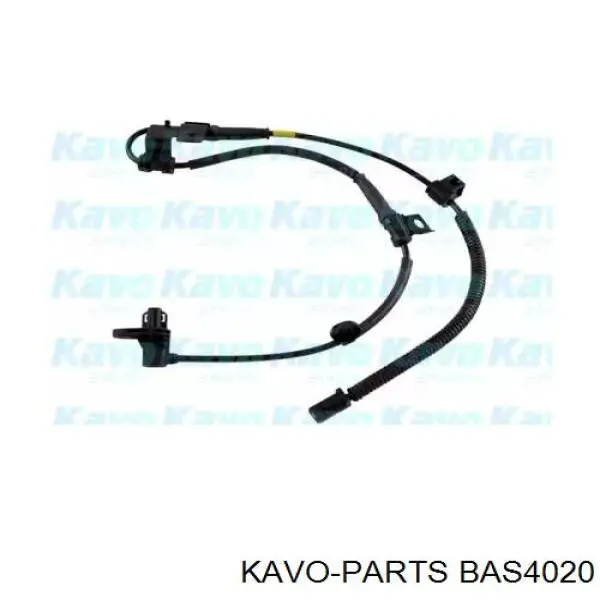 Датчик АБС (ABS) передний правый Kavo Parts BAS4020
