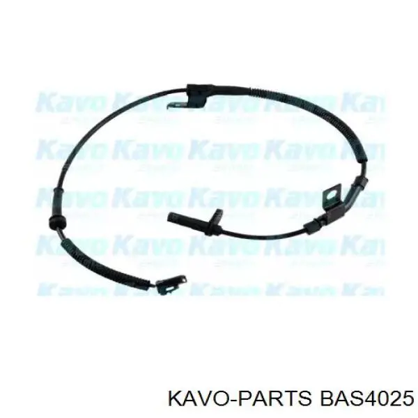 Датчик АБС (ABS) передний правый Kavo Parts BAS4025