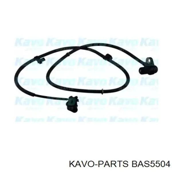 BAS5504 Kavo Parts датчик абс (abs передний правый)