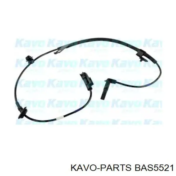BAS-5521 Kavo Parts датчик абс (abs передний правый)