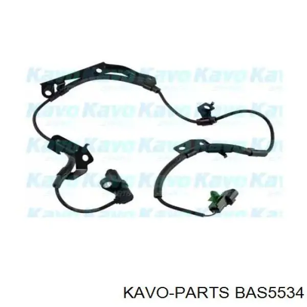 BAS-5534 Kavo Parts sensor abs dianteiro esquerdo