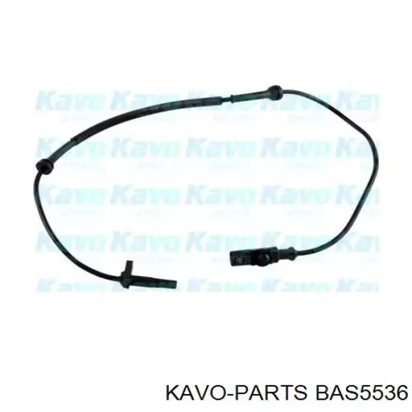 BAS5536 Kavo Parts датчик абс (abs передний)