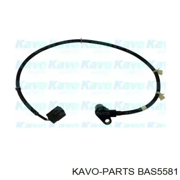 BAS-5581 Kavo Parts датчик абс (abs задний левый)