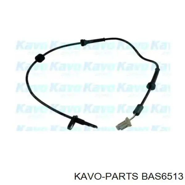 BAS6513 Kavo Parts датчик абс (abs передний)
