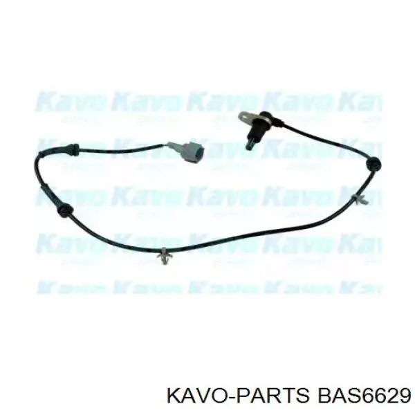 Датчик АБС (ABS) задний правый BAS6629 Kavo Parts