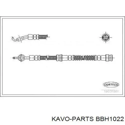 Шланг гальмівний передній BBH1022 Kavo Parts