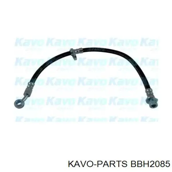 Шланг тормозной передний BBH2085 Kavo Parts