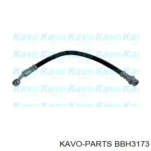 BBH3173 Kavo Parts шланг тормозной задний правый
