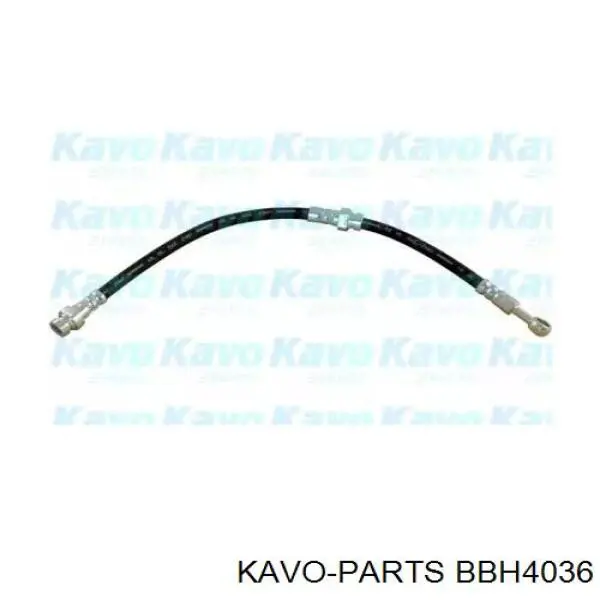 BBH-4036 Kavo Parts шланг тормозной передний левый