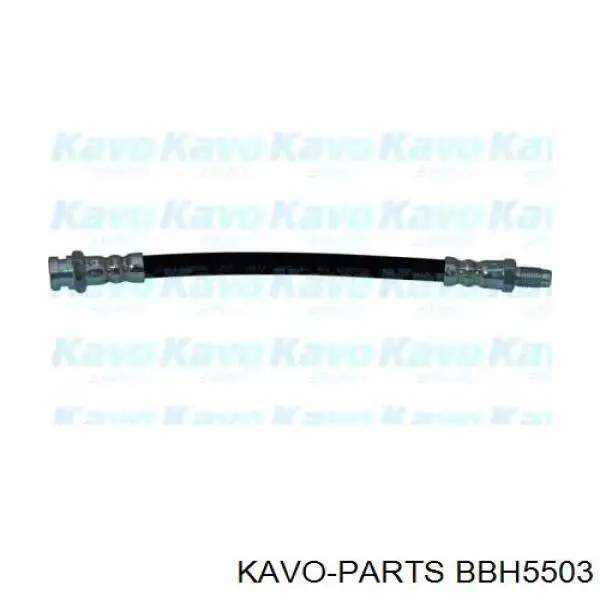 BBH-5503 Kavo Parts шланг тормозной передний