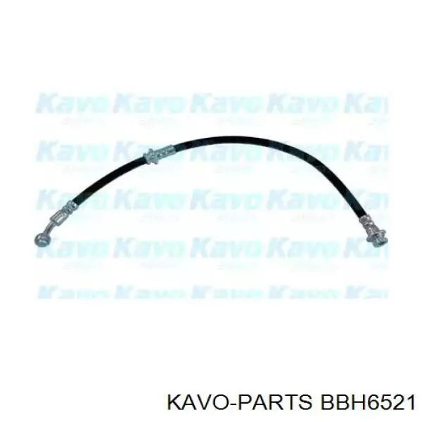 BBH6521 Kavo Parts шланг тормозной передний