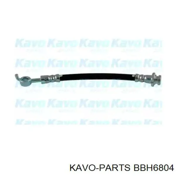BBH-6804 Kavo Parts шланг тормозной задний правый