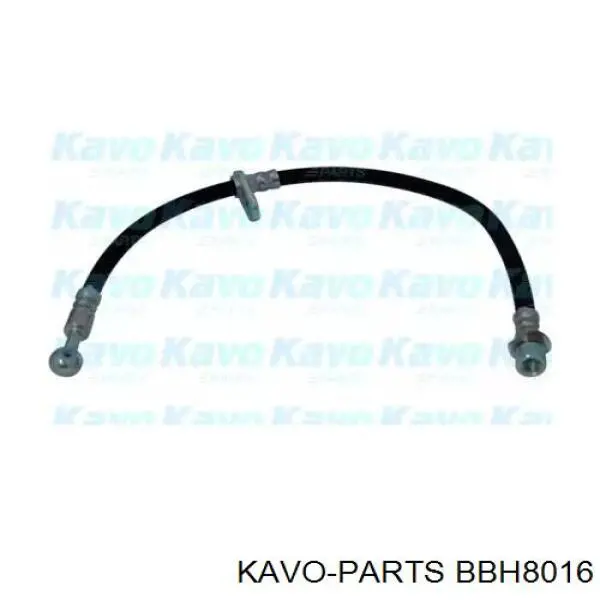BBH-8016 Kavo Parts шланг тормозной передний левый