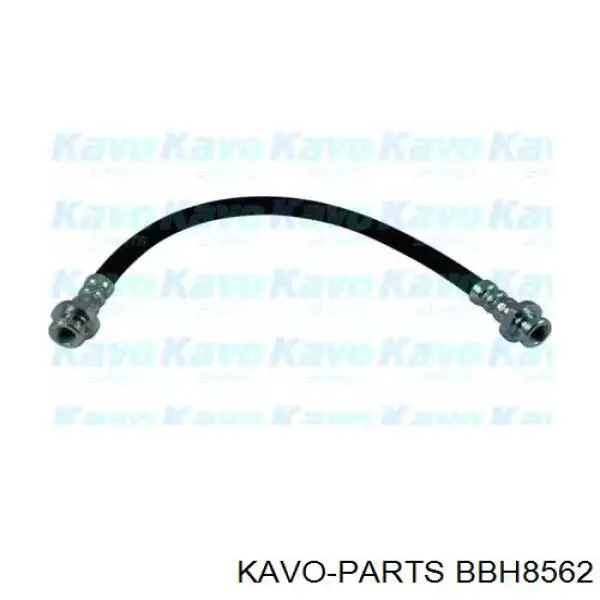 BBH-8562 Kavo Parts шланг тормозной задний левый