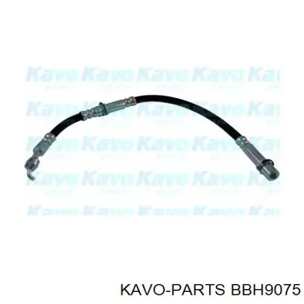 Шланг тормозной передний BBH9075 Kavo Parts