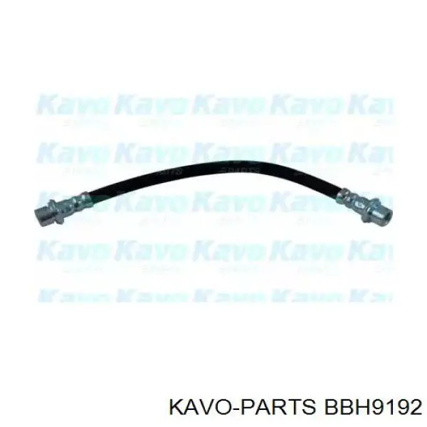 BBH-9192 Kavo Parts mangueira do freio traseira direita