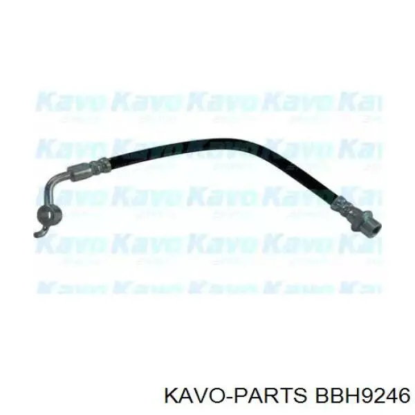 BBH-9246 Kavo Parts шланг тормозной задний правый