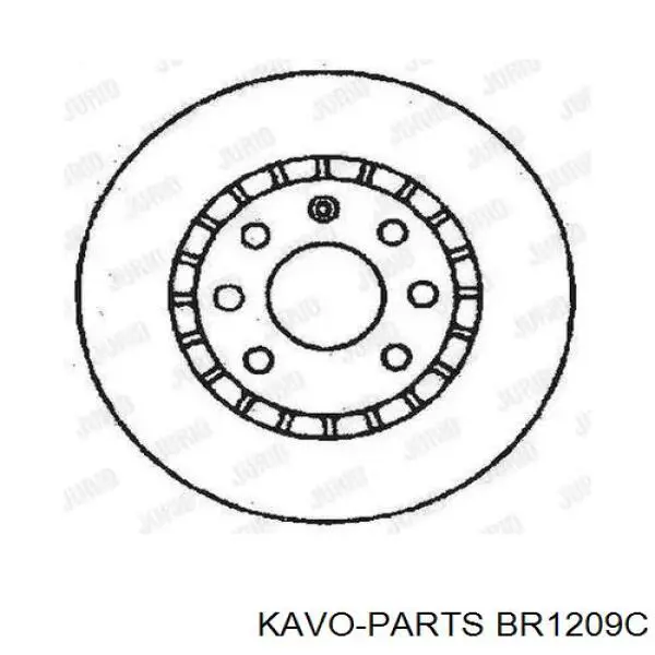 Передние тормозные диски BR1209C Kavo Parts