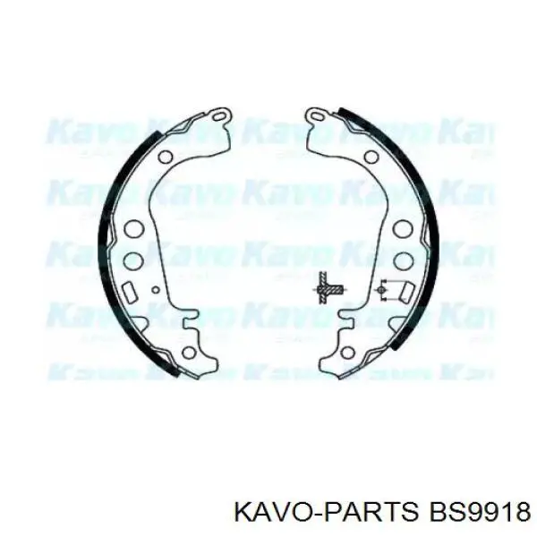 BS9918 Kavo Parts задние барабанные колодки