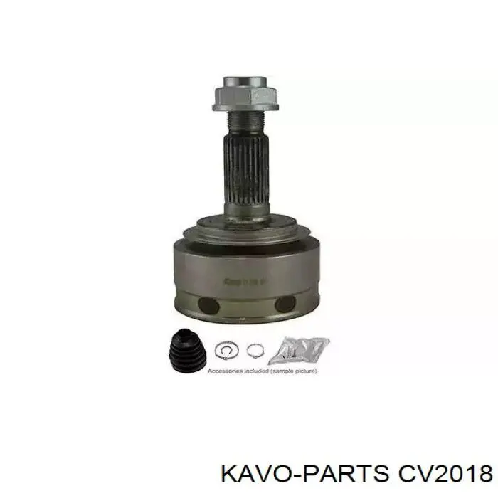 ШРУС наружный передний Kavo Parts CV2018