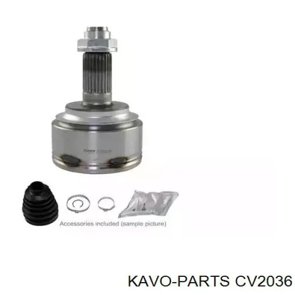 CV2036 Kavo Parts шрус наружный передний