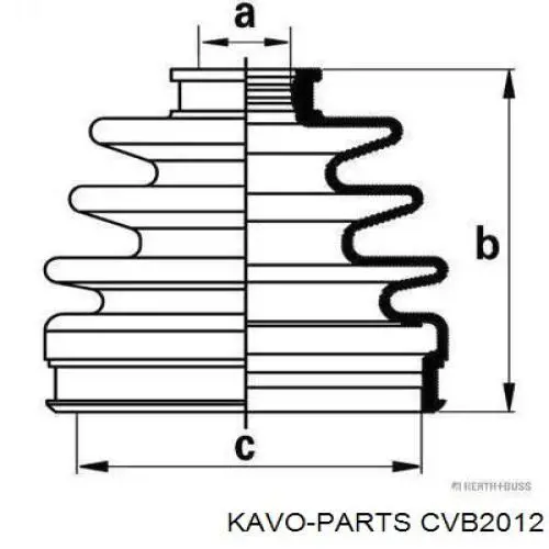Купить CVB2012 Kavo Parts Пыльник гранаты наружный, передний