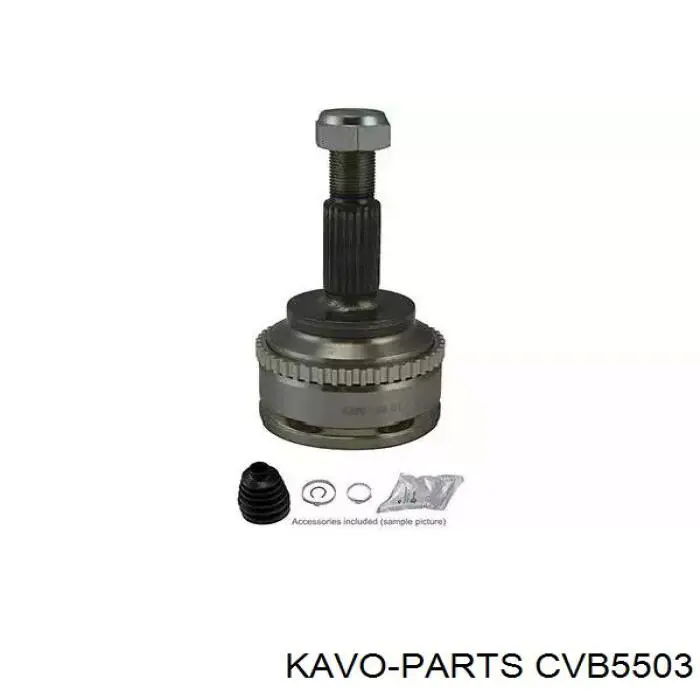 Купить CVB5503 Kavo Parts Пыльник гранаты наружный, передний