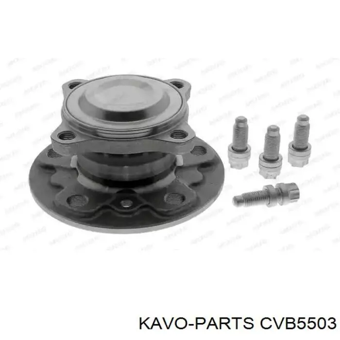 Пыльник ШРУСа передней полуоси наружный Kavo Parts CVB5503
