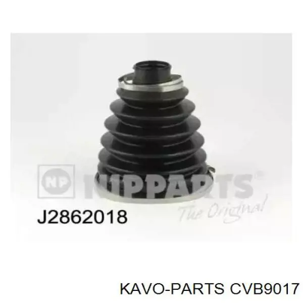 Пыльник гранаты внешний, правый Kavo Parts CVB9017