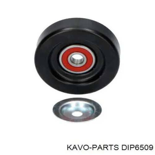 DIP6509 Kavo Parts