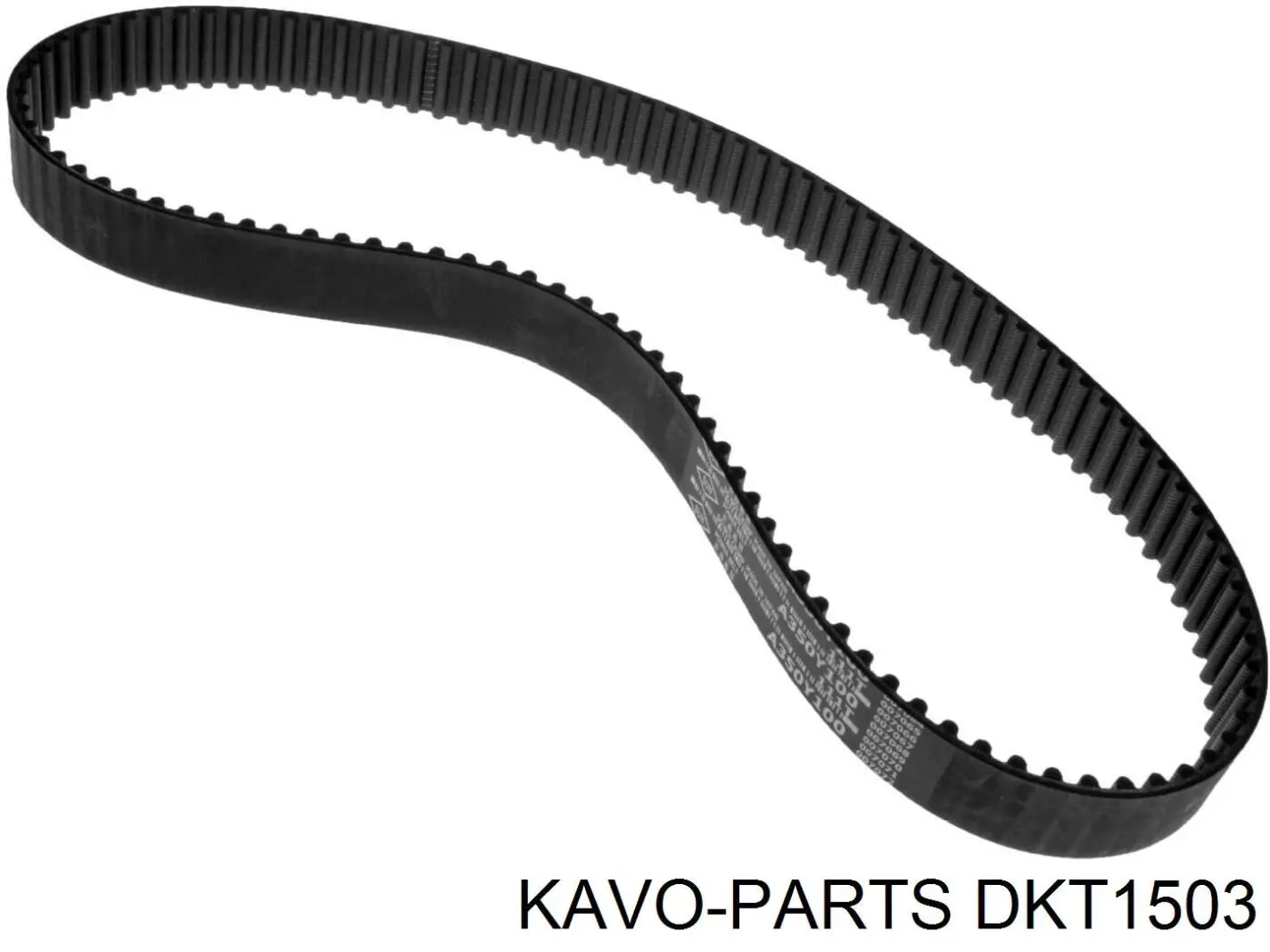 ГРМ ремни, комплект Kavo Parts DKT1503 цена, от 49.69 USD