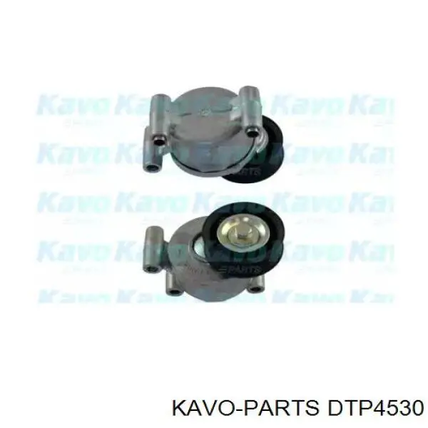 Натяжитель приводного ремня Kavo Parts DTP4530