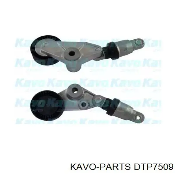 Натяжитель приводного ремня Kavo Parts DTP7509
