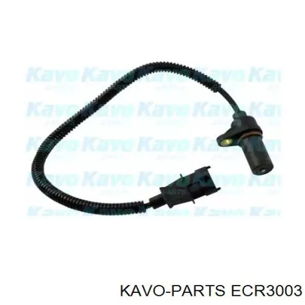 Датчик положения (оборотов) коленвала Kavo Parts ECR3003